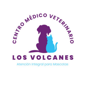 Icono de Regalo_Mesa de trabajo 1